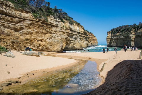 Great Ocean Road Grampians 3 Day National Park Tour Melbourne Roundtrip - Surfers Gold Coast 3
