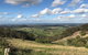 Hunter Valley Wine Tour From Sydney With Lunch And 3 Cellar Door Tastings - thumb 1