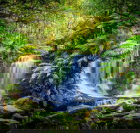 Day Tour in Mt. Field Mt. Wellington Bonorong Wildlife Sanctuary and Richmond - Surfers Gold Coast