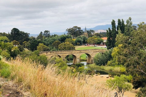 Day Tour In Mt. Field, Mt. Wellington, Bonorong Wildlife Sanctuary And Richmond - Surfers Gold Coast 3