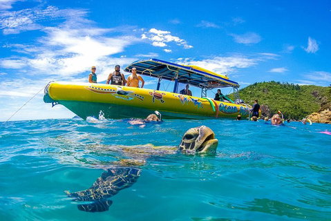 Great Barrier Reef Scenic Flight And Ocean Rafting Whitehaven Beach Day Trip - Surfers Gold Coast 1