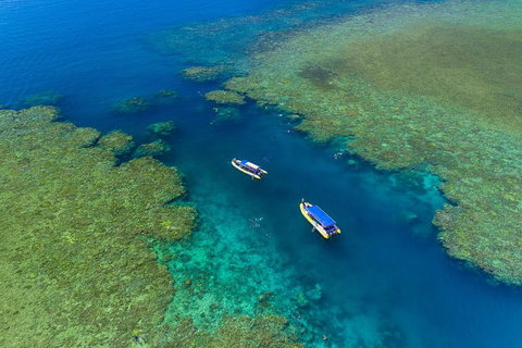 Great Barrier Reef Scenic Flight And Ocean Rafting Whitehaven Beach Day Trip - Surfers Gold Coast 4