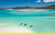 Ocean Rafting Tour To Whitehaven Beach, Hill Inlet Lookout & Top Snorkel Spots - thumb 1