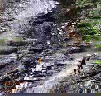 Full-Day Canyoning Experience at Stunning Empress Canyon - Surfers Gold Coast