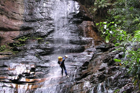 Full-Day Canyoning Experience At Stunning Empress Canyon - Surfers Gold Coast 0