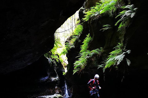 Full-Day Canyoning Experience At Stunning Empress Canyon - Surfers Gold Coast 2