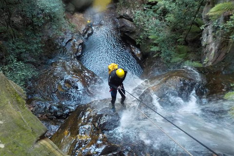 Full-Day Canyoning Experience At Stunning Empress Canyon - Surfers Gold Coast 4