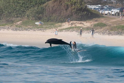Cruise With Dolphins In Byron Bay - Surfers Gold Coast 3