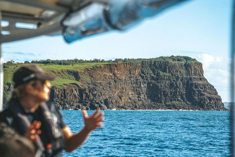 Cruise With Dolphins In Byron Bay - Surfers Gold Coast 4