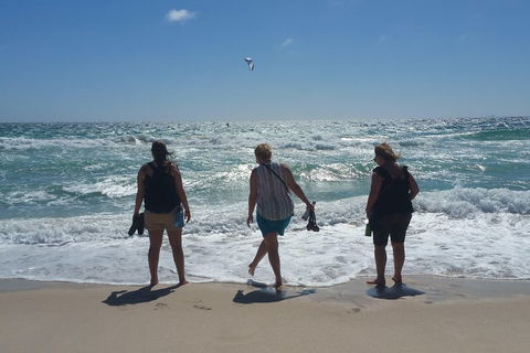 Very Best Of Perth Tour - Wildlife Park & City Highlights Tour - Surfers Gold Coast 5