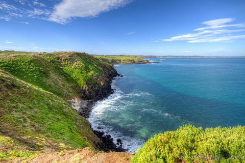 Phillip Island Penguin And Koala Highlights Day-Trip From Melbourne - Surfers Gold Coast 5