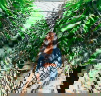 Yarra Valley Local Produce and Wine Tasting Tour - Surfers Gold Coast