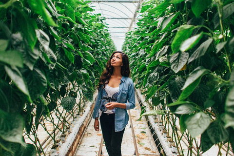 Yarra Valley Local Produce And Wine Tasting Tour - Surfers Gold Coast 0