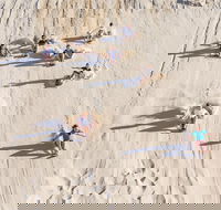 Unlimited Sandboarding - Surfers Gold Coast