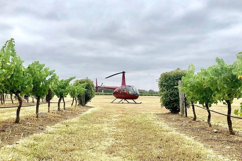 Private Helicopter Flight To Hunter Valley With A La Carte Lunch - For 2 - Surfers Gold Coast 4