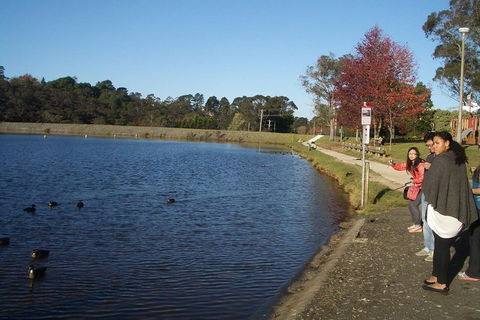 PRIVATE All-Day Blue Mountains Tour With Professional Guide For Up To 4 People - Surfers Gold Coast 2