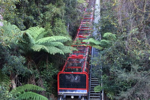 Blue Mountains Private Full-Day Tour From Sydney With Cruise - Surfers Gold Coast 5