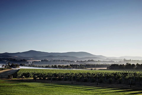 Chauffeur Driven Yarra Valley Group Wine Tour - Up To 7 - Surfers Gold Coast 2