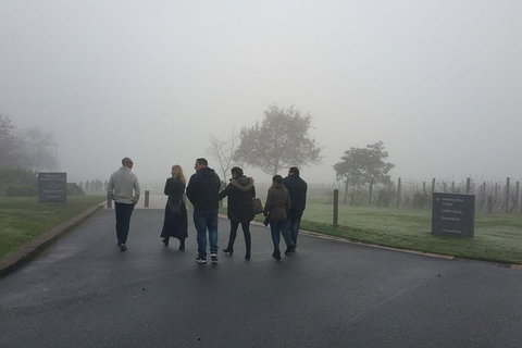 Chauffeur Driven Yarra Valley Group Wine Tour - Up To 7 - Surfers Gold Coast 4