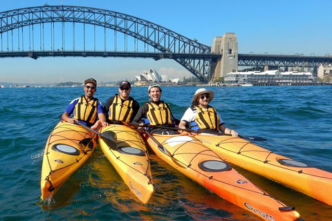 Kayak To Goat Island In Sydney Harbour With Local - Surfers Gold Coast 5