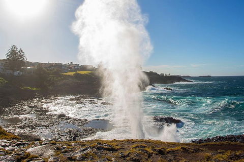 Private Tour: Sydney South Coast & Highlands - Surfers Gold Coast 2