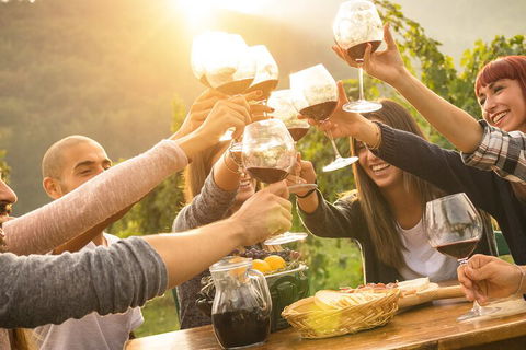 Yarra Valley, Dandenong Ranges Inc. Lunch With Wine,plus Morning Tea,chocolate - Surfers Gold Coast 4