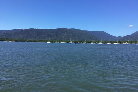 Cairns City Tour - Surfers Gold Coast 3