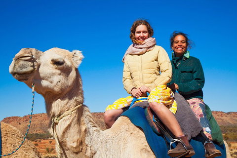 Alice Springs Camel Tour - Surfers Gold Coast 3