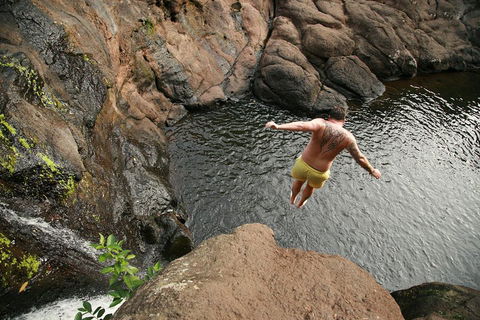Hinterland Magic & Glow-worm Experience - Surfers Gold Coast 3