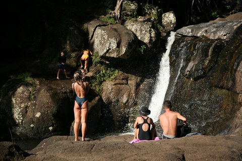 Hinterland Magic & Glow-worm Experience - Surfers Gold Coast 5
