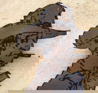 Explore The Rocks Sydney In A Series Of Fun Cryptic Clues - Surfers Gold Coast