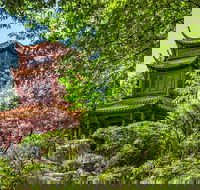 Chinese Garden General Admission Ticket - Surfers Gold Coast