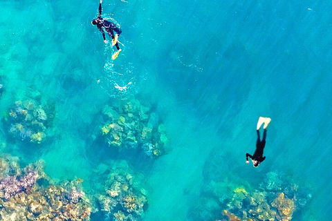 Fly & Cruise - Seaplane Package - Surfers Gold Coast 1