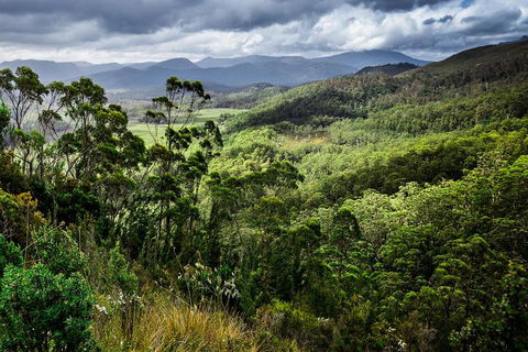 3-Day Tour To The Falls, Mountains, Lake & More Of West Coast Tasmania - Surfers Gold Coast 0