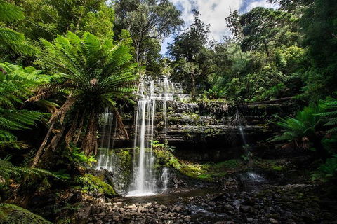 3-Day Tour To The Falls, Mountains, Lake & More Of West Coast Tasmania - Surfers Gold Coast 4