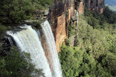 Private Southern Highlands Day Trip From Sydney Including Fitzroy Falls - Surfers Gold Coast 1