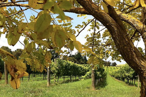 Private Southern Highlands Day Trip From Sydney Including Fitzroy Falls - Surfers Gold Coast 5