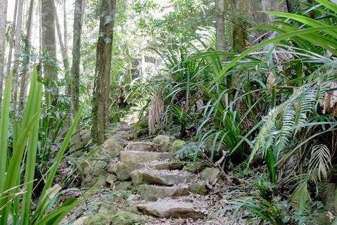 Byron Bay Combo: Minyon Falls And Hinterland Day Trip And Learn To Surf At Byron Bay - Surfers Gold Coast 3
