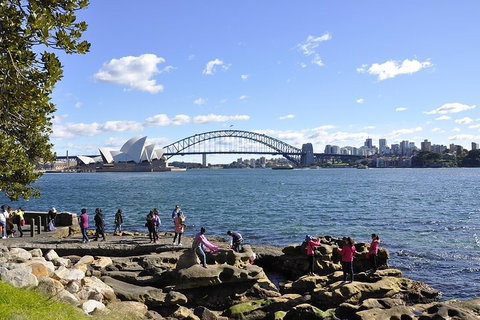 Sydney Sightseeing Bus Tours - Surfers Gold Coast 2