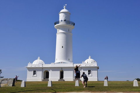 Sydney Sightseeing Bus Tours - Surfers Gold Coast 5