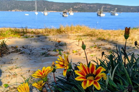 Central Coast Explorer With 'Personalised Sydney Tours' - Surfers Gold Coast 2