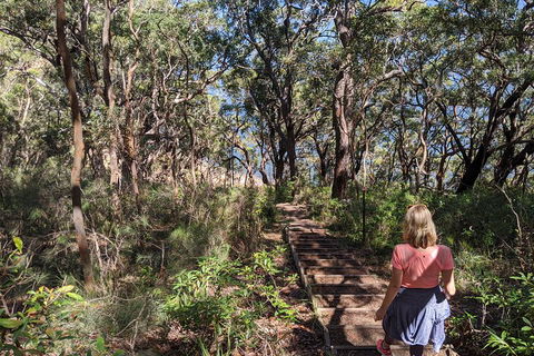 Central Coast Explorer With 'Personalised Sydney Tours' - Surfers Gold Coast 4