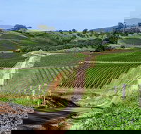 The Complete Hunter Valley Wine Tour of Pokolbin Mt View Lovedale and Rothbury - Surfers Gold Coast