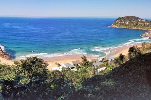 Manly & Sydney's Northern Beaches With 'Personalised Sydney Tours' - Surfers Gold Coast 2