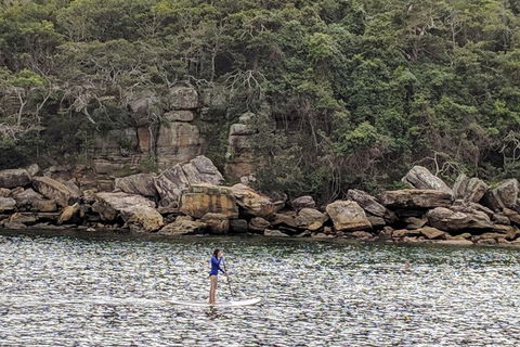 Manly & Sydney's Northern Beaches With 'Personalised Sydney Tours' - Surfers Gold Coast 3