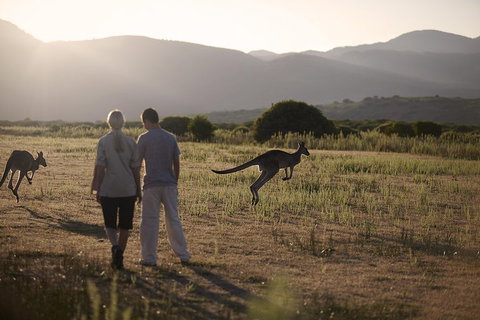 Overnight Daylesford And Macedon Ranges Gourmet Food Trail Tour From Melbourne - Surfers Gold Coast 1