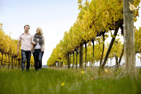 Overnight Daylesford And Macedon Ranges Gourmet Food Trail Tour From Melbourne - Surfers Gold Coast 2