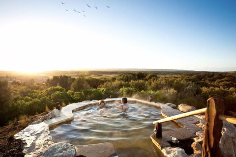 Peninsula Hot Springs & Wine Tasting - Day Tour - Surfers Gold Coast 0