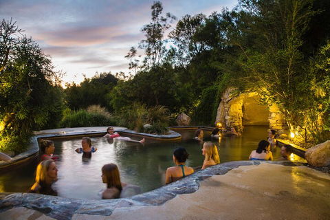 Peninsula Hot Springs & Wine Tasting - Day Tour - Surfers Gold Coast 3