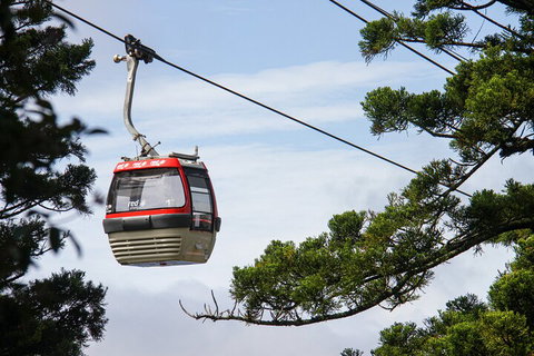 Sydney Taronga Zoo General Entry Ticket And Wild Australia Experience - Surfers Gold Coast 2
